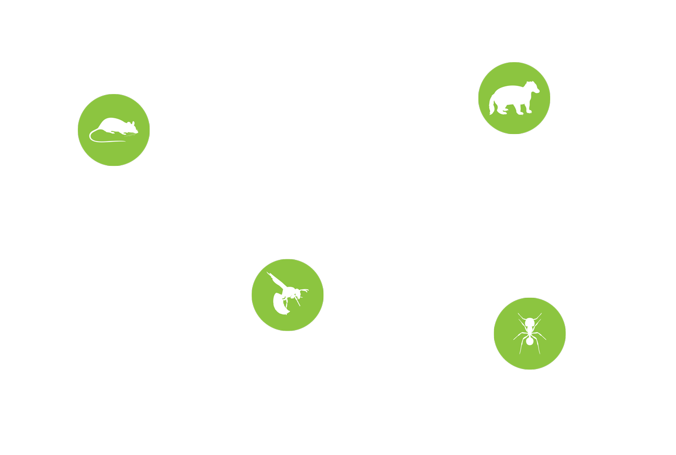 pest icons