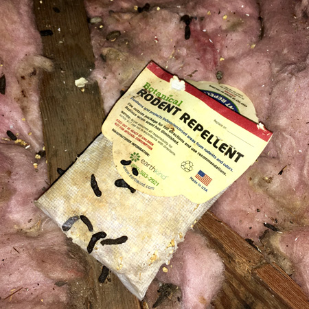 rodent repellent and extermination