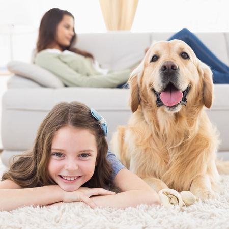 Keep your home safe from pests with Pest Pros