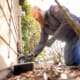 professional pest control company
