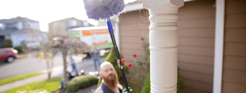 Pest Pros